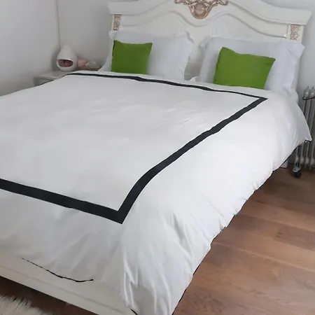 休闲民宿 * باريس